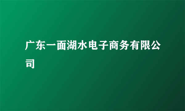 广东一面湖水电子商务有限公司