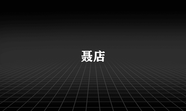 聂店