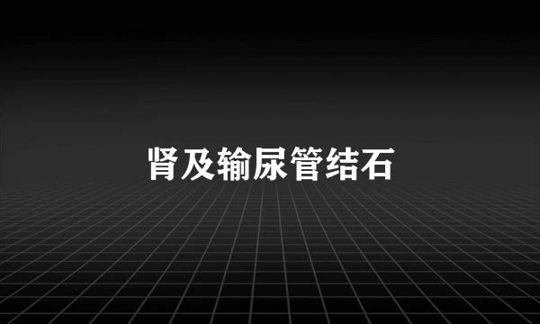 肾及输尿管结石