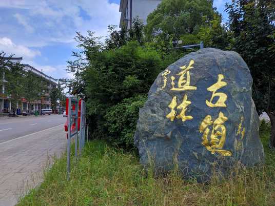 道林社区