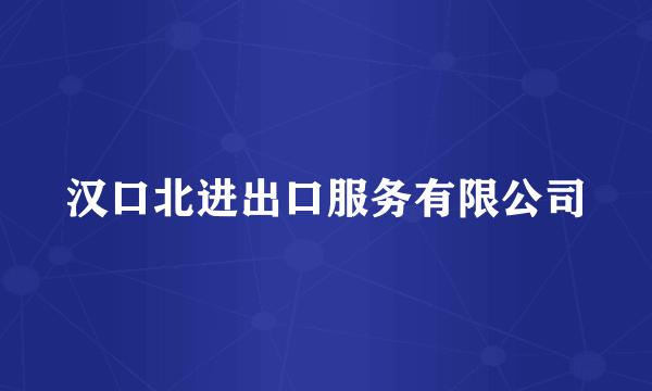 汉口北进出口服务有限公司