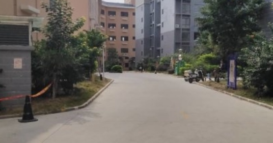 龙湾路小区