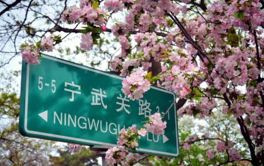 宁武关路