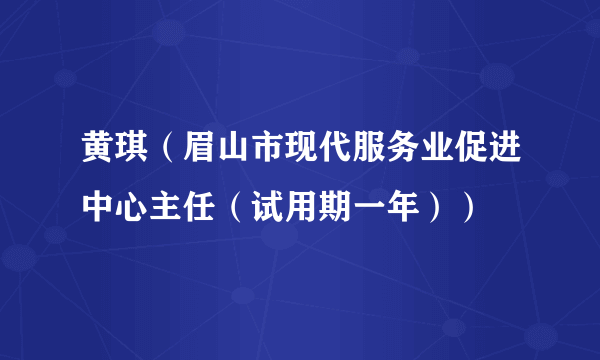 黄琪（眉山市现代服务业促进中心主任（试用期一年））
