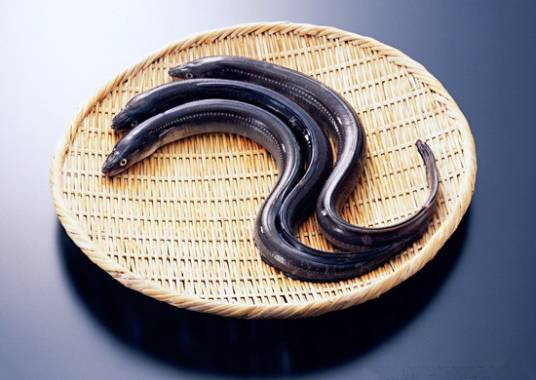 血鳗