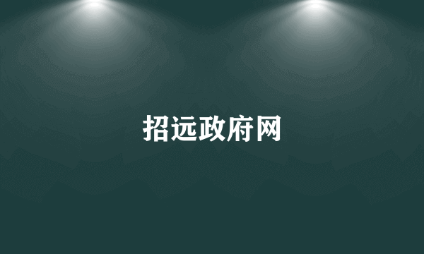 招远政府网