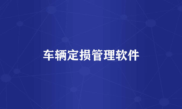 车辆定损管理软件