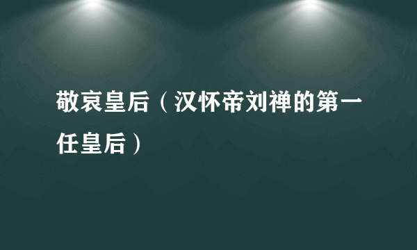 敬哀皇后（汉怀帝刘禅的第一任皇后）