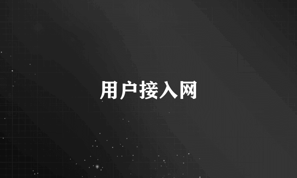 用户接入网