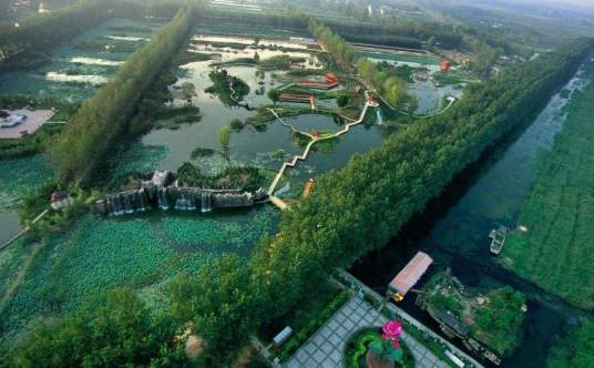 山东滕州滨湖国家湿地公园