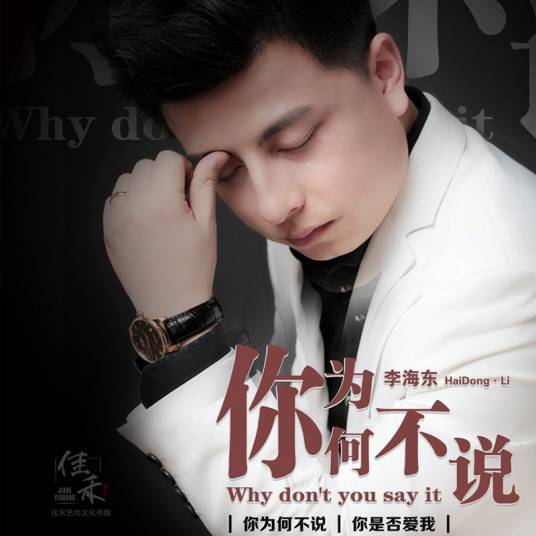 你为何不说（李海东演唱歌曲）