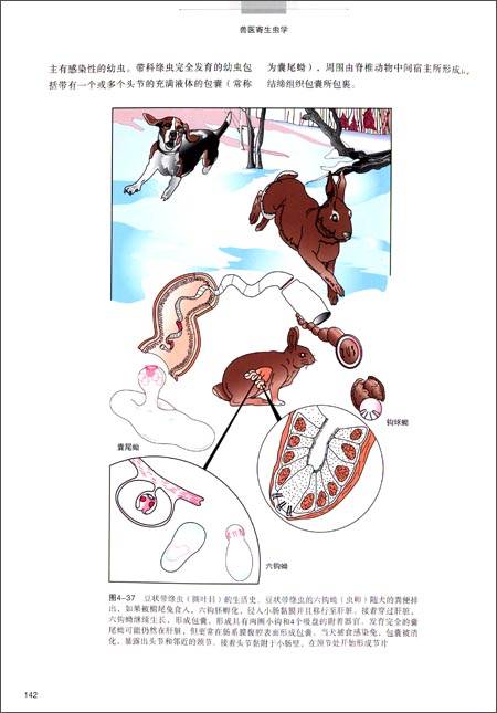 兽医寄生虫学（2018年西南师范大学出版社出版的图书）