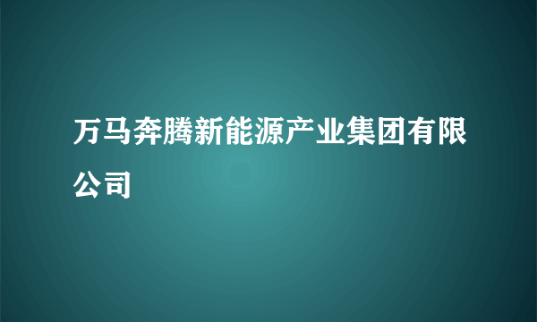 万马奔腾新能源产业集团有限公司