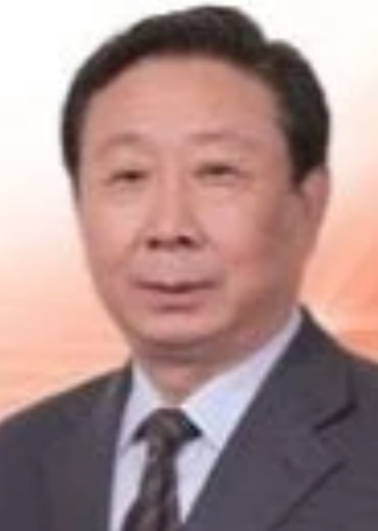 王风华（国家电网公司总经理助理）