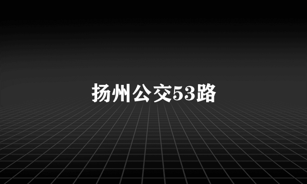 扬州公交53路