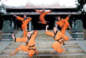 南少林五行拳