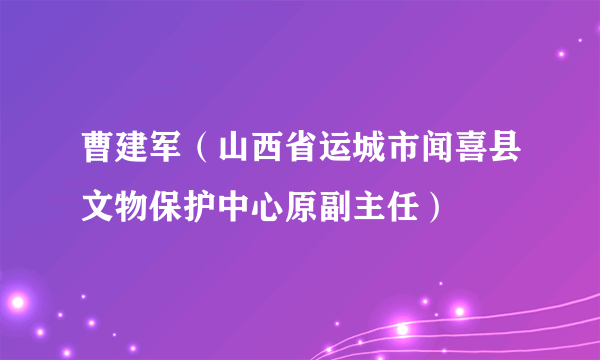 曹建军（山西省运城市闻喜县文物保护中心原副主任）