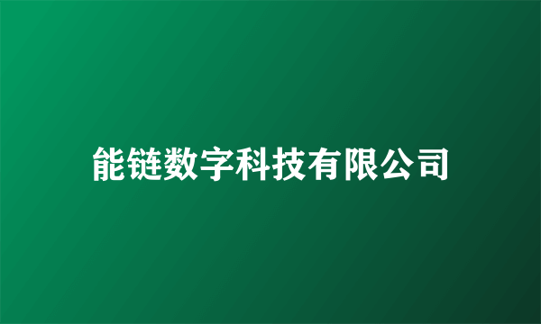 能链数字科技有限公司