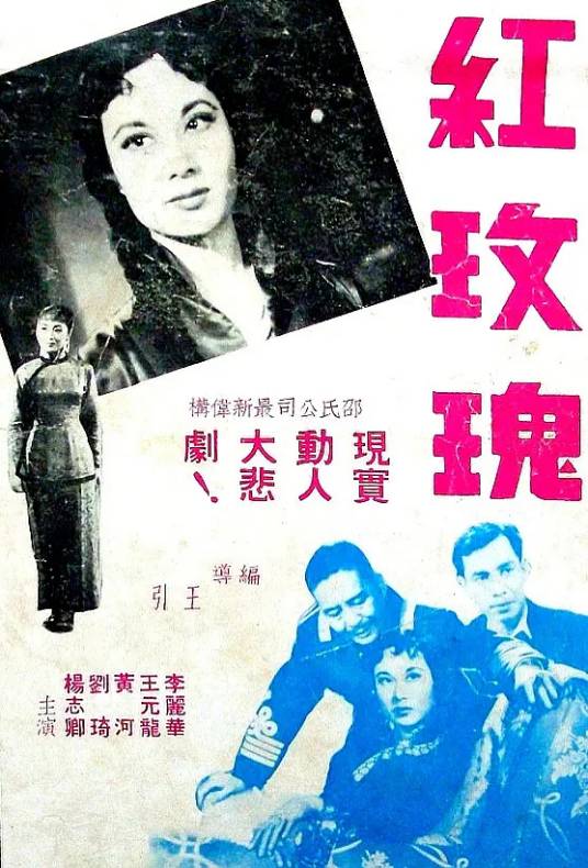 红玫瑰（1952年王引执导的剧情电影）