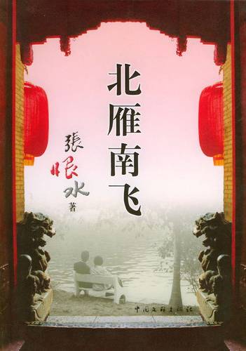 北雁南飞（张恨水创作的章回体小说）
