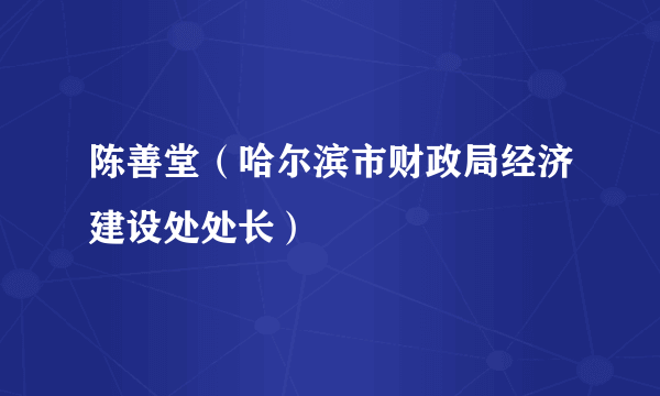 陈善堂（哈尔滨市财政局经济建设处处长）