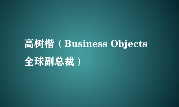 高树楷（Business Objects全球副总裁）