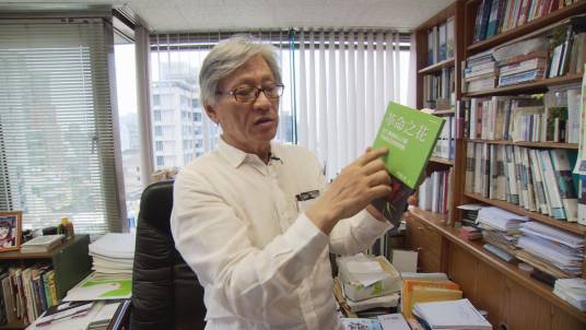 李敏勇（中国台湾绿营学者）
