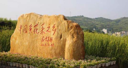 中国黄花菜之乡