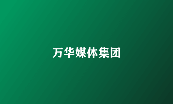 万华媒体集团