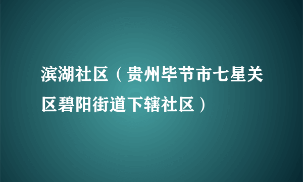 滨湖社区（贵州毕节市七星关区碧阳街道下辖社区）