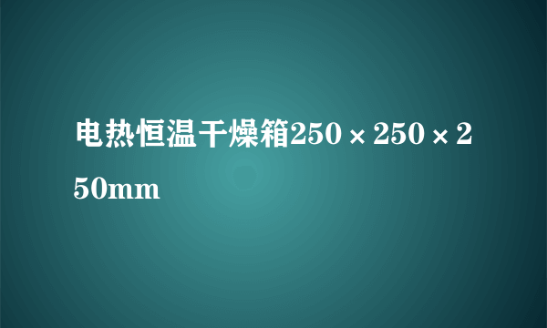 电热恒温干燥箱250×250×250mm