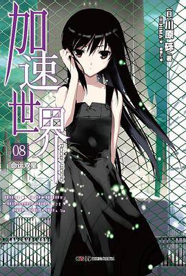 加速世界 08（2012年湖南美术出版社出版的图书）