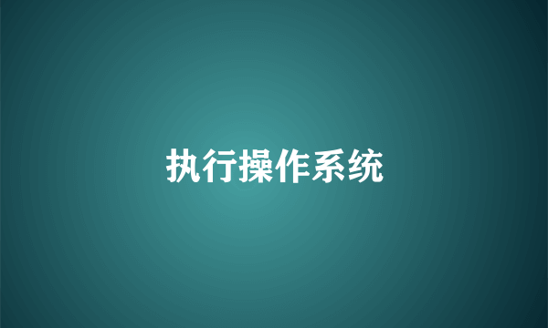 执行操作系统