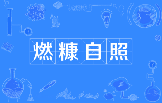 燃糠自照