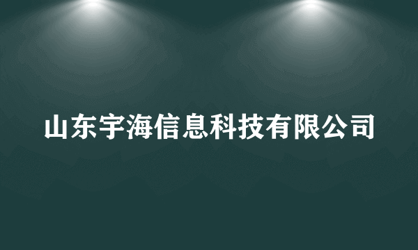 山东宇海信息科技有限公司
