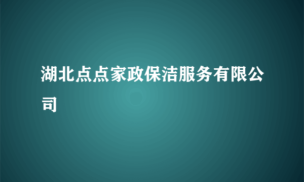 湖北点点家政保洁服务有限公司