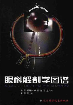眼科解剖学图谱