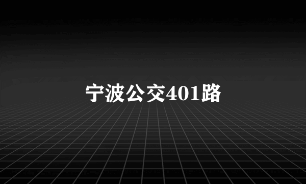 宁波公交401路