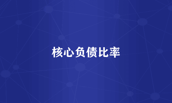 核心负债比率