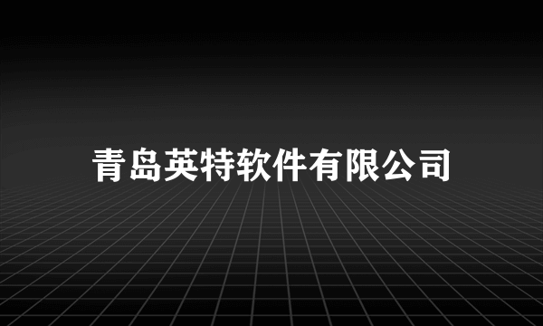 青岛英特软件有限公司