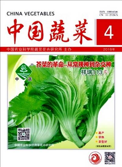 中国蔬菜