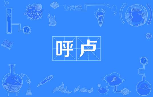 呼卢