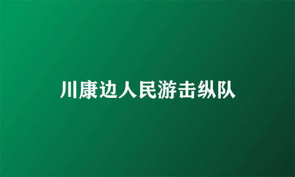 川康边人民游击纵队