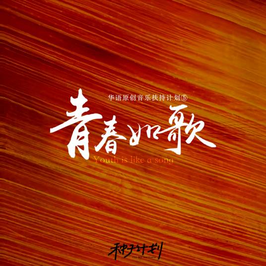 三十（音乐人常岭演唱的歌曲）