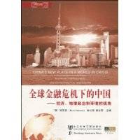 全球金融危机下的中国