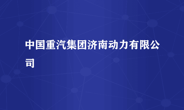 中国重汽集团济南动力有限公司
