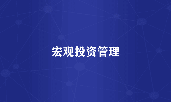 宏观投资管理