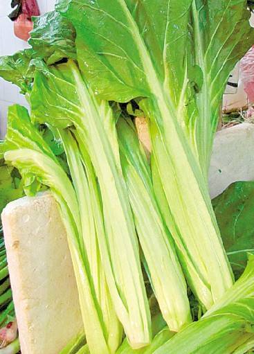 莙薘菜