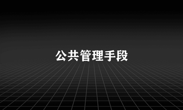 公共管理手段