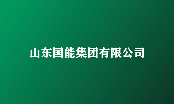 山东国能集团有限公司